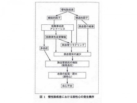 肺性心発生機序