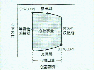 左室圧容量曲線